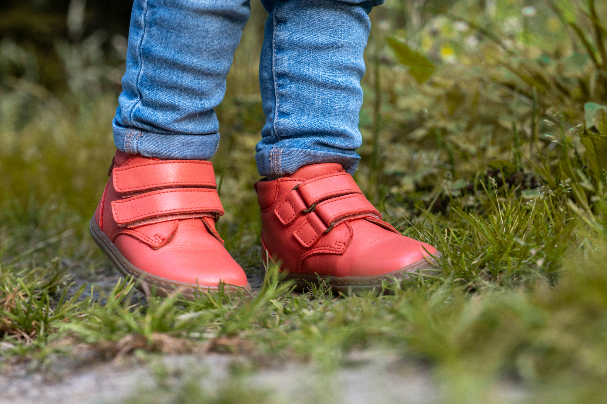 Boots Sirius - Image 4